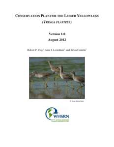 CONSERVATION PLAN FOR THE LESSER YELLOWLEGS (TRINGA FLAVIPES) Version 1.0 August 2012 Robert P. Clay1, Arne J. Lesterhuis1, and Silvia Centrón2