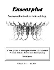 A new species of Euscorpius Thorell, 1876 from the western Balkans (Scorpiones: Euscorpiidae)