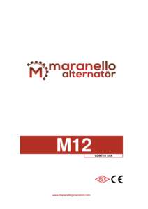 M12 www.maranellogenerators.com CONT 11 kVA  Değerler