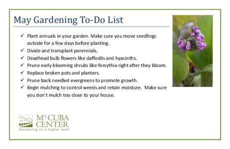 May Gardening To-Do List  Plant annuals in your garden. Make sure you move seedlings outside for a few days before planting.  Divide and transplant perennials.  Deadhead bulb flowers like daffodils and hyacinths