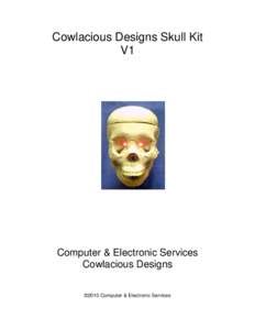 Microsoft Word - Talking Skull Kit 2009 v1.doc