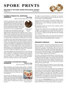 SPORE PRINTS BULLETIN OF THE PUGET SOUND MYCOLOGICAL SOCIETY Number 478 January 2012
