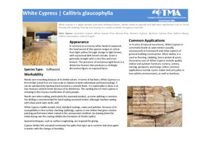 White Cypress | Callitris glaucophylla White Cypress is a highly durable Australian softwood timber, ideally suited to exposed and high-wear applications such as house framing and cladding, flooring and fencing. It is re