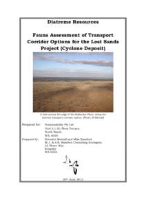 Diatreme Resources Fauna Assessment of Transport Corridor Options for the Lost Sands Project (Cyclone Deposit)  A view across the edge of the Nullarbor Plain, along the