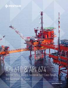API 610 & API 674  Vertical Turbine Pumps, Horizontal Split Case Pumps and Reciprocating Pumps WWW.PENTAIR.COM