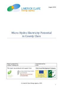 AugustMicro Hydro Electricity Potential in County Clare  Report prepared by :