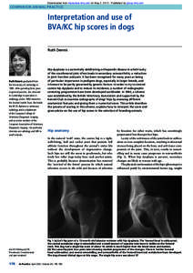 Downloaded from inpractice.bmj.com on May 2, Published by group.bmj.com  Companion animal practice Interpretation and use of BVA/KC hip scores in dogs