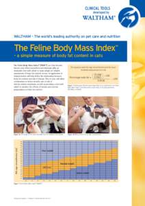 CLINICAL TOOLS developed by WALTHAM – The world’s leading authority on pet care and nutrition  The Feline Body Mass Index