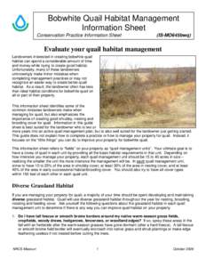 Microsoft Word - Quail Habitat Information Sheet10-2006.doc