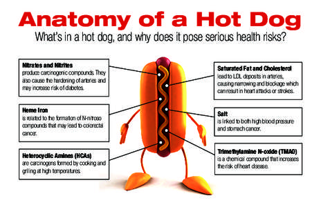 Anatomy of a Hot Dog What’s in a hot dog, and why does it pose serious health risks? Nitrates and Nitrites produce carcinogenic compounds. They also cause the hardening of arteries and