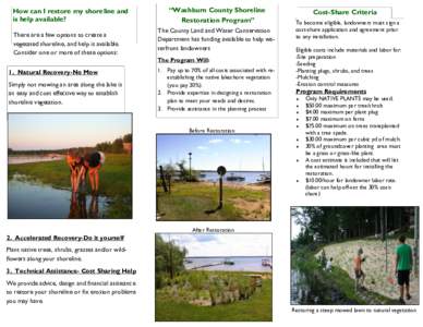 How can I restore my shoreline and is help available? There are a few options to create a vegetated shoreline, and help is available. Consider one or more of these options: