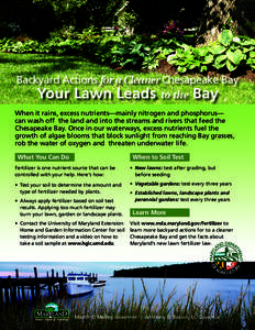 Backyard Actions for a Cleaner Chesapeake Bay Your Lawn Leads to the Bay When it rains, excess nutrients—mainly nitrogen and phosphorus— can wash offἀ the land and into the streams and rivers that feed the Chesapea