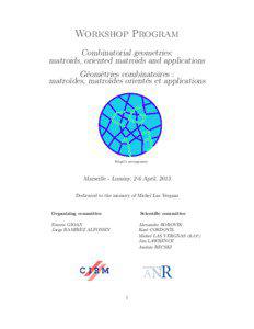 Workshop Program Combinatorial geometries: matroids, oriented matroids and applications
