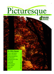 Picturesque Autumn 09:Picturesque SpringWye Valley Area of Outstanding Natural Beauty newsletter