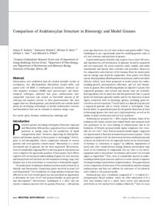 Comparison of Arabinoxylan Structure in Bioenergy and Model Grasses