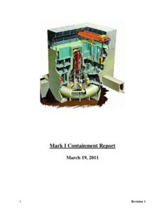 Mark I Containment Report March 19, Revision 1