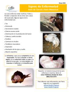 Signs of Disease in Poultry and Pet Birds-Spanish v3.pub (Read-Only)