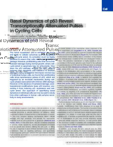 Basal Dynamics of p53 Reveal Transcriptionally Attenuated Pulses in Cycling Cells Alexander Loewer,1 Eric Batchelor,1 Giorgio Gaglia,1 and Galit Lahav1,* 1Department of Systems Biology, Harvard Medical School, Boston, MA