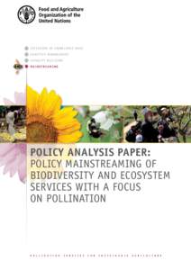 EXTENSION OF KNOWLEDGE BASE ADAPTIVE MANAGEMENT C A PA C I T Y B U I L D I N G MAINSTREAMING  POLICY ANALYSIS PAPER: