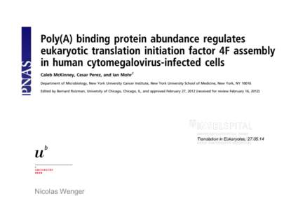 Translation in Eukaryotes, [removed]Nicolas Wenger What is it all about? •  Human cytomegalovirus(HCMV) à herpesvirus, dsDNA