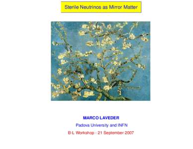 Sterile Neutrinos as Mirror Matter  MARCO LAVEDER Padova University and INFN B-L Workshop - 21 September 2007