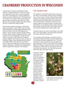 CRANBERRY PRODUCTION IN WISCONSIN The Cranberry Vine Cranberries are native to northeastern North America, including Wisconsin. They are Wisconsin’s leading fruit crop both in terms of acreage and value. Cranberries ar