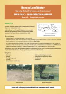 HorsesLandWater Improving the health of horses and the environment SAND COLIC • SAND-INDUCED DIARRHOEA Bare soil • Unimproved pastures SAND COLIC