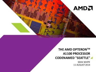 THE AMD OPTERONTM A1100 PROCESSOR CODENAMED 