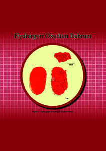 Hydrargyri Oxydum Rubrum  0.5 cm 1 cm