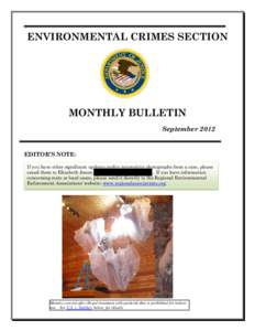 ECS Monthly Bulletin September 2012
