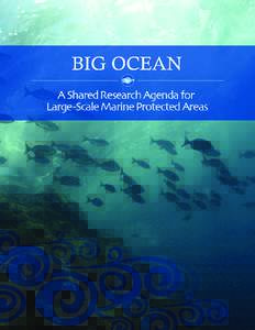 Prepared By  Big Ocean planning team in collaboration with the Papahānaumokuākea Marine National Monument & UNESCO World Heritage Site (PMNM), NOAA Office of National Marine Sanctuaries