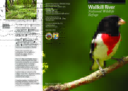 Ken Witkowski/ USFWS  Spring beauties in bottomland hardwood forest Important Information