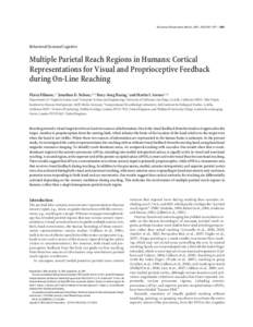 The Journal of Neuroscience, March 4, 2009 • 29(9):2961–2971 • 2961  Behavioral/Systems/Cognitive Multiple Parietal Reach Regions in Humans: Cortical Representations for Visual and Proprioceptive Feedback