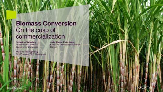 Biomass Conversion On the cusp of commercialization Sebastian Søderberg, Vice President Biomass Conversion, Novozymes