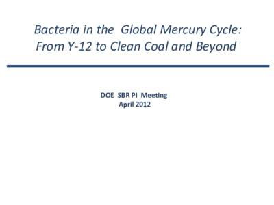Bacteria in the Global Mercury Cycle: From Y-12 to Clean Coal and Beyond DOE SBR PI Meeting April 2012