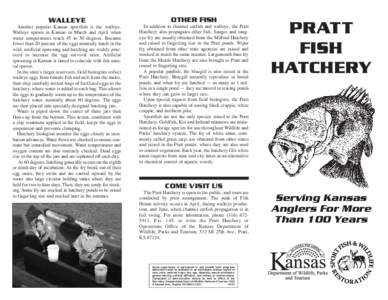 Pratt Fish Hatchery:Pratt Fish Hatchery