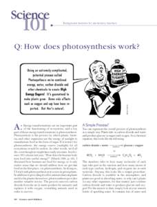Background boosters for elementary teachers  Brian Diskin Q: How does photosynthesis work?