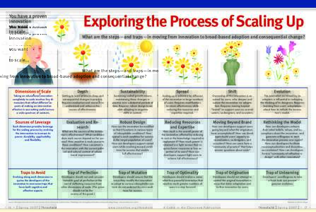 You have a proven innovation you want to scale…  Exploring the Process of Scaling Up
