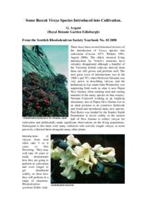 Some Recent Vireya Species Introduced into Cultivation. G. Argent (Royal Botanic Garden Edinburgh) From the Scottish Rhododendron Society Yearbook NoThere have been several historical reviews of the introductio