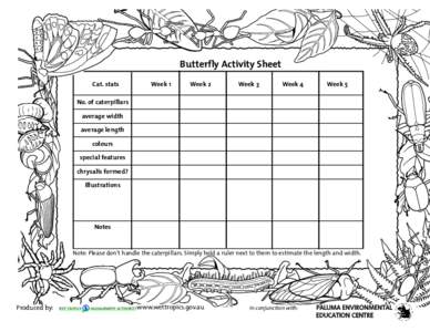 butterfly activity sheet.qxd