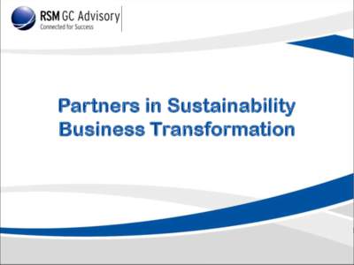 Sustainability / Environment / Carbon finance / RSM International
