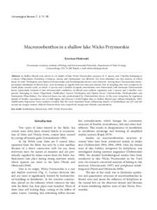 Macrozoobenthos in a shallow lake Wicko Przymorskie Limnological Review 7, 2: Macrozoobenthos in a shallow lake Wicko Przymorskie