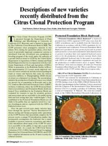 Descriptions of new varieties recently distributed from the Citrus Clonal Protection Program Toni Siebert, Robert Krueger, Tracy Kahn, John Bash and Georgios Vidalakis  T