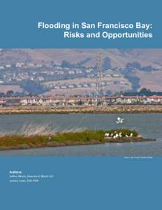 Flooding in San Francisco Bay: Risks and Opportunities Photo Judy Irving © Pelican Media  Authors