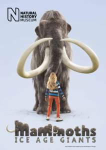 This exhibition was created by The Field Museum, Chicago.  How to use this guide This guide contains activities linked with the Natural History Museum’s Mammoths: Ice Age Giants exhibition.