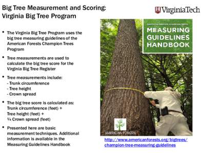 Big Tree Measurement and Scoring: Virginia Big Tree Program • • • •