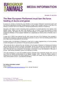 MEDIA INFORMATION Brussels, 16 July 2014 The New European Parliament must ban the force feeding of ducks and geese Eurogroup for animals is shocked that every Member of the European Parliament received last week a gift
