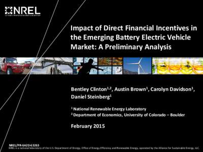 Impact of Direct Financial Incentives in the Emerging Battery Electric Vehicle Market: A Preliminary Analysis (Presentation), NREL (National Renewable Energy Laboratory)
