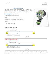 iCub Facility  Rev. A2Head V2 Cabling