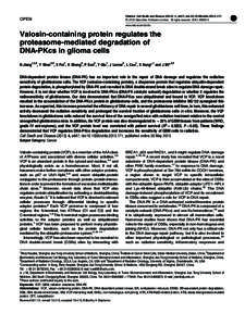 Valosin-containing protein regulates the proteasome-mediated degradation of DNA-PKcs in glioma cells